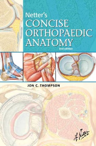 Netter's concise orthopaedic anatomy