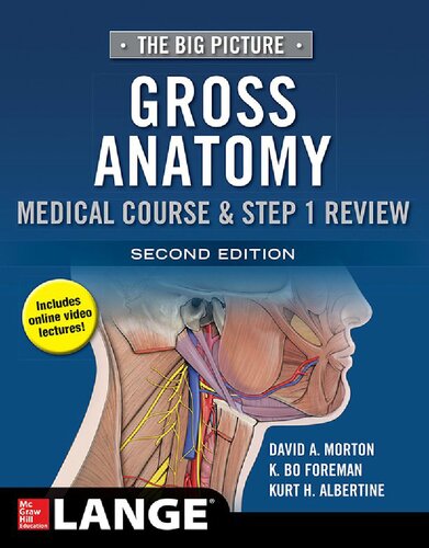 The big picture : Gross anatomy, medical course and step 1 review