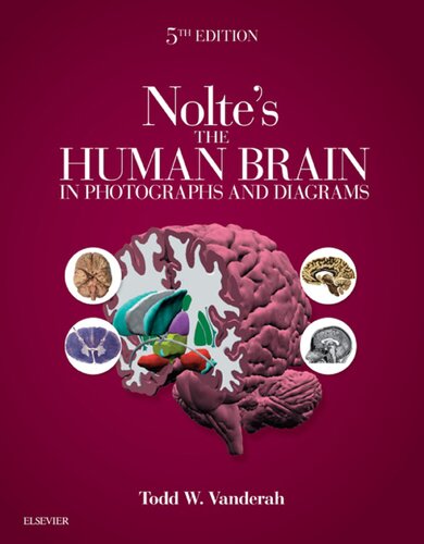 Nolte's The Human Brain in Photographs and Diagrams