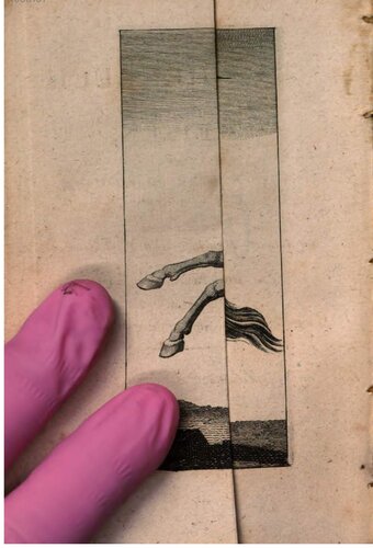 Taschenbuch der Reisen, oder unterhaltende Darstellung der Entdeckungen des 18ten Jahrhunderts, in Rücksicht der Länder-, Menschen- und Produktenkunde