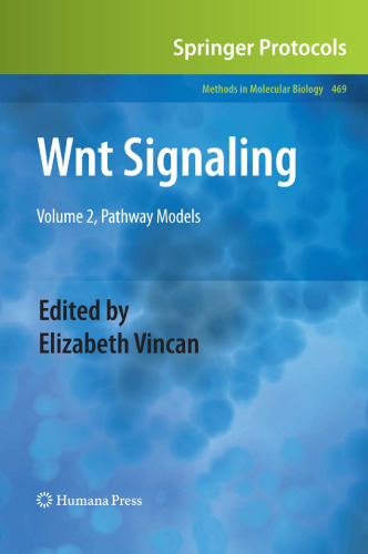 Wnt Signaling
