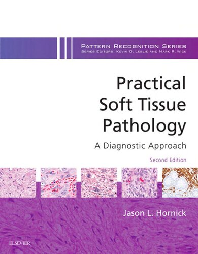 Practical Soft Tissue Pathology. A Diagnostic Approach