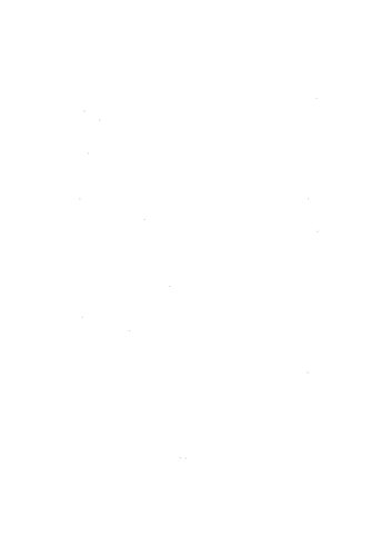 Lokale Verzweigungstheorie : Vorlesungen über Kommutative Algebra. Wintersemester 1973/74