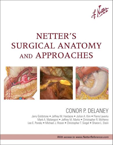 Netter's surgical anatomy and approaches