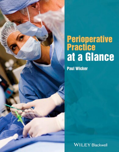 Perioperative practice at a glance