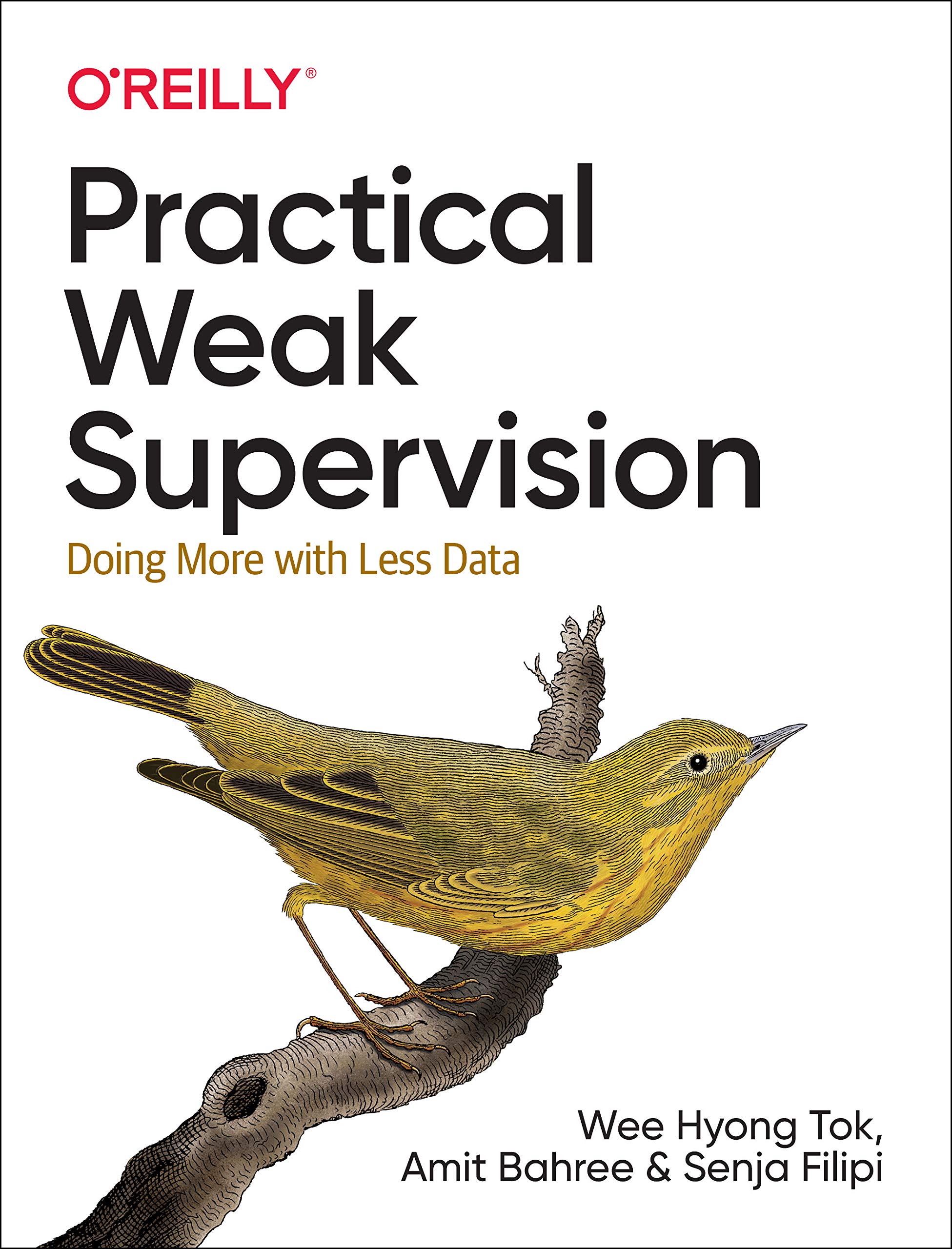 Practical Weak Supervision: Doing More with Less Data - Early Unedited Release