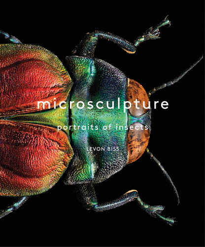 Microsculpture : portraits of insects