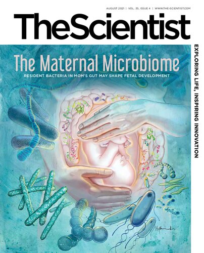 August 2021, Vol. 35, Issue 4  The Scientist