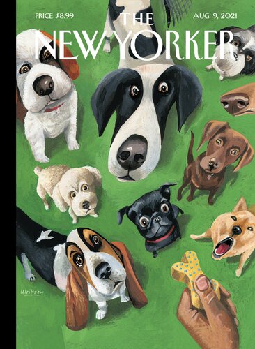 The New Yorker