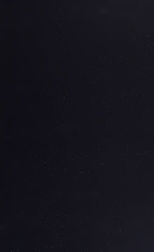 Gesualdo : the Man and His Music