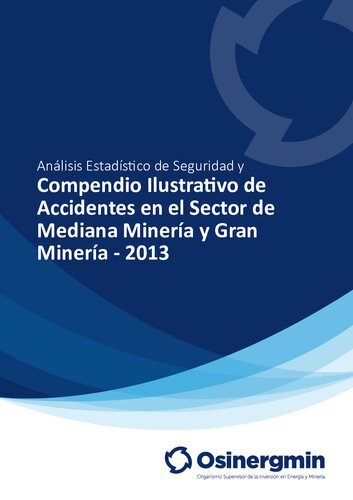 Análisis Estadístico de Seguridad y Compendio Ilustrativo de Accidentes en el Sector de Mediana Minería y Gran Minería - 2013