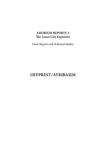 Amorium Reports 3: The Lower City Enclosure. Finds Reports and Technical Studies