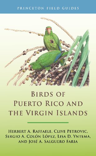Birds of Puerto Rico and the Virgin Islands: Fully Revised and Updated Third Edition (Princeton Field Guides, 153)