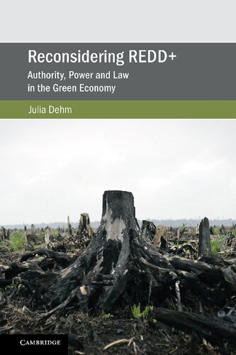 Reconsidering REDD+: Authority, Power and Law in the Green Economy