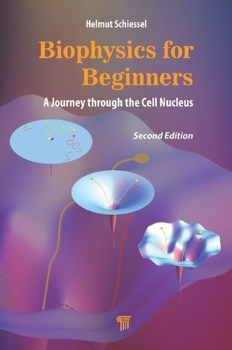 Biophysics for Beginners: A Journey through the Cell Nucleus