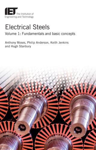 Electrical Steels: Fundamentals and basic concepts (Energy Engineering)