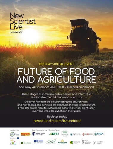 October 17 –23, 2020  New Scientist