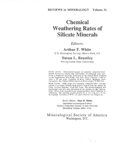 Chemical Weathering Rates of Silicate Minerals