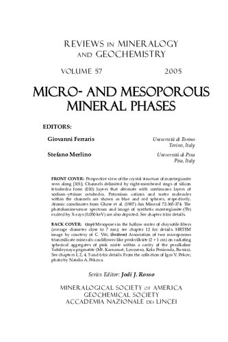 Micro- and Mesoporous Mineral Phases