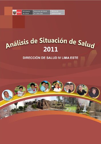 Análisis de situación de salud 2011. Dirección de Salud IV Lima Este