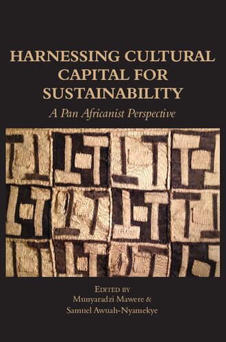 Harnessing Cultural Capital for Sustainability: A Pan Africanist Perspective