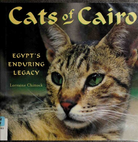 Cats of Cairo: Egypt's Enduring Legacy