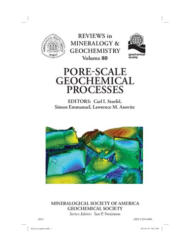 Pore-Scale Geochemical Processes