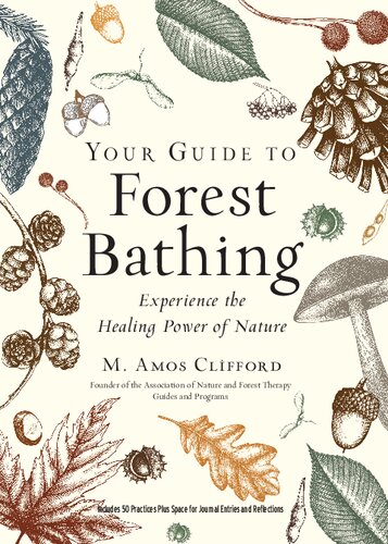 Your Guide to Forest Bathing: Experience the Healing Power of Nature