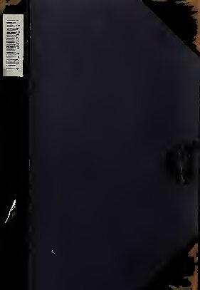 Pirna und Lobositz (Karten)