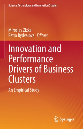 Innovation and Performance Drivers of Business Clusters: An Empirical Study