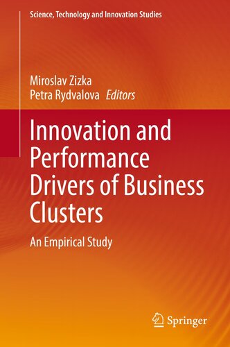 Innovation and Performance Drivers of Business Clusters: An Empirical Study