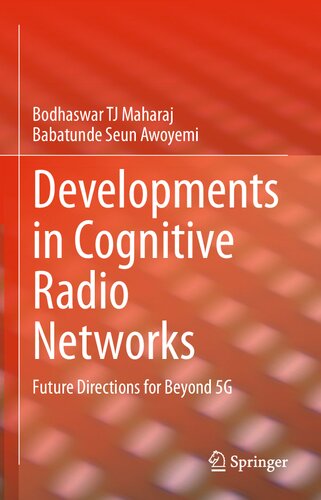Developments in Cognitive Radio Networks: Future Directions for Beyond 5G