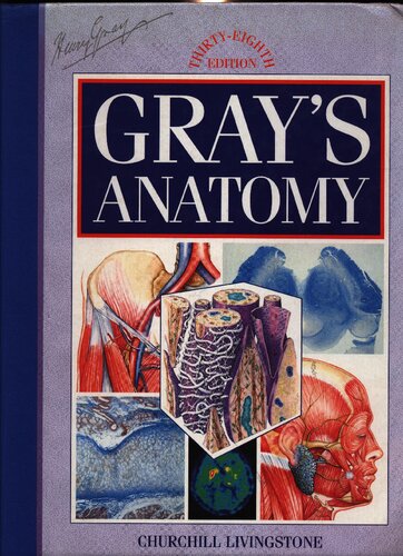 Gray's anatomy - the anatomical basis of medicine and surgery