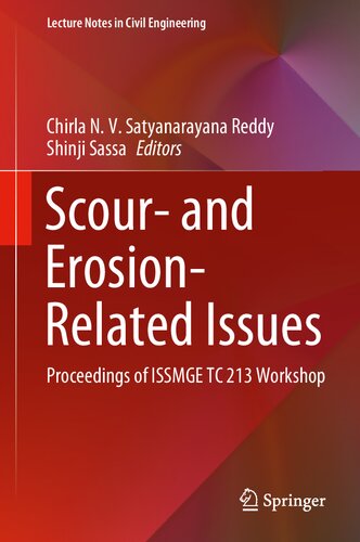 Scour- and Erosion-Related Issues: Proceedings of ISSMGE TC 213 Workshop