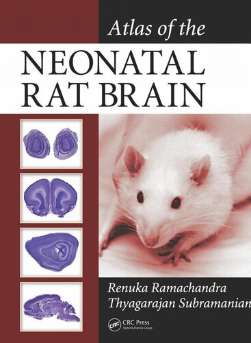 Atlas of the Neonatal Rat Brain