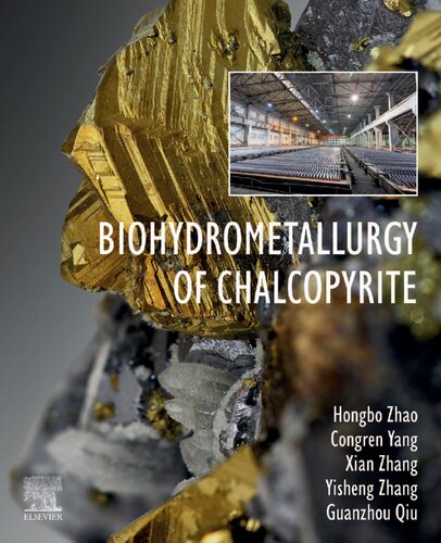 Biohydrometallurgy of Chalcopyrite