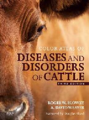 Color atlas of diseases and disorders of cattle