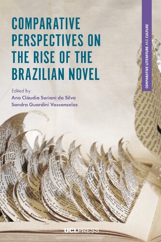 Comparative Perspectives on the Rise of the Brazilian Novel