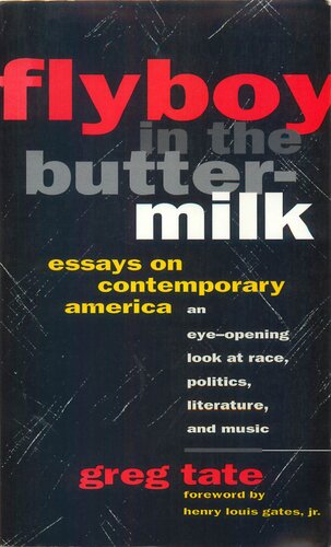 Flyboy in the Buttermilk: Essays on Contemporary America