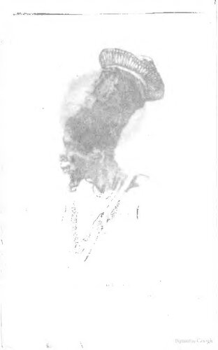 Der Kongo. Reise von seiner Mündung bis Bolobo