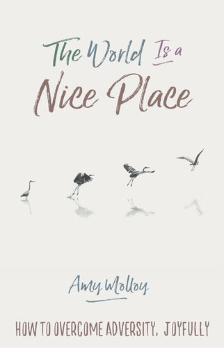 The World Is a Nice Place : How to Overcome Adversity, Joyfully