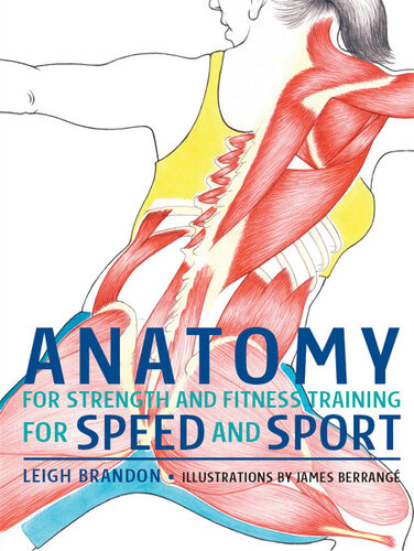 Anatomy : for strength and fitness training for speed and sport