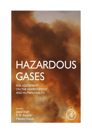 Hazardous Gases: Risk Assessment on the Environment and Human Health