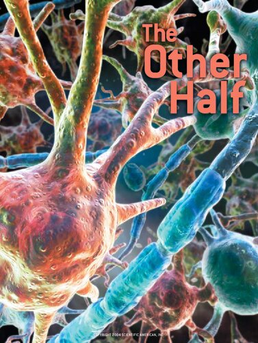 The Other Half of the Brain