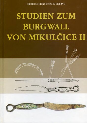 Studien zum Burgwall von Mikulčice. Bd. 2