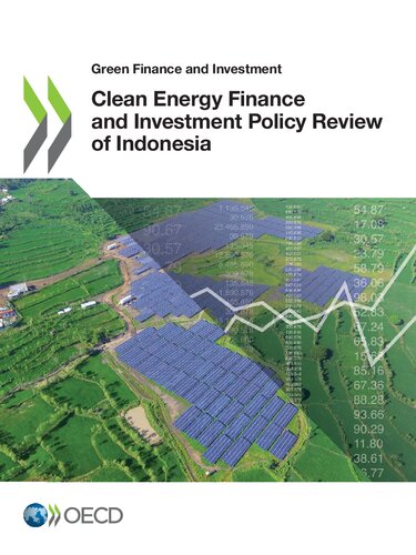 CLEAN ENERGY FINANCE AND INVESTMENT POLICY REVIEW OF INDONESIA.