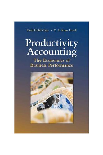 Productivity Accounting: The Economics of Business Performance