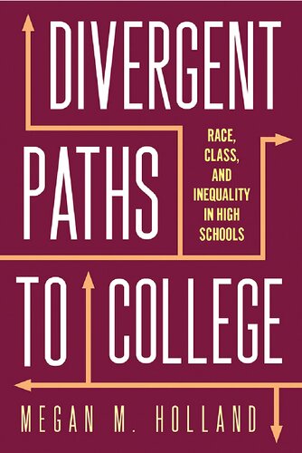 Divergent Paths to College: Race, Class, and Inequality in High Schools (Critical Issues in American Education)