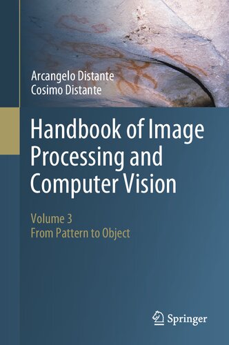 Handbook of Image Processing and Computer Vision: Volume 3: From Pattern to Object