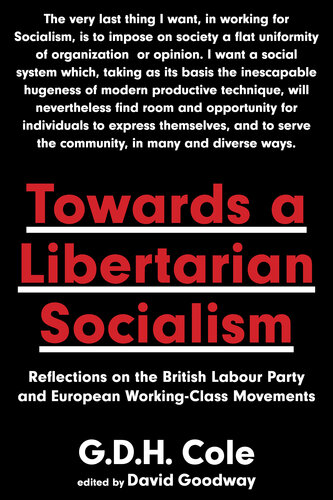 Towards A Libertarian Socialism : Reflections on the British Labour Party and European Working-Class Movements.